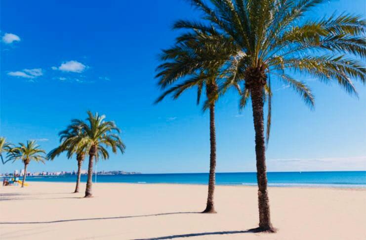 White Loft Alicante Bagian luar foto
